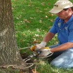 Kansas City Arborist Jeff Sifrit