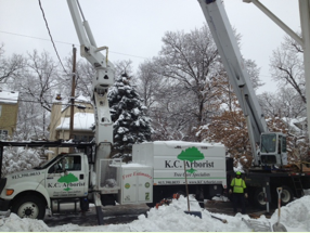 KC Arborist assists with tree cleanups through the KC area after giant snowstorm.