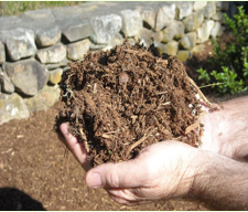 Tips for mulching trees in your yard.