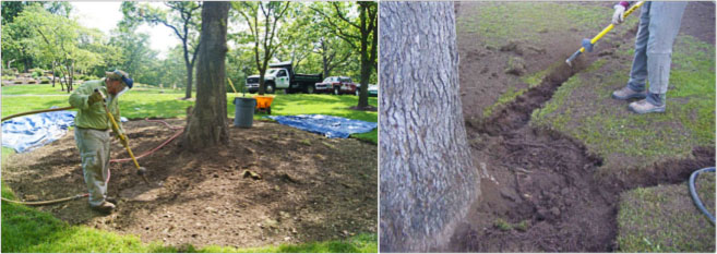 KC Arborists offers soil compaction.